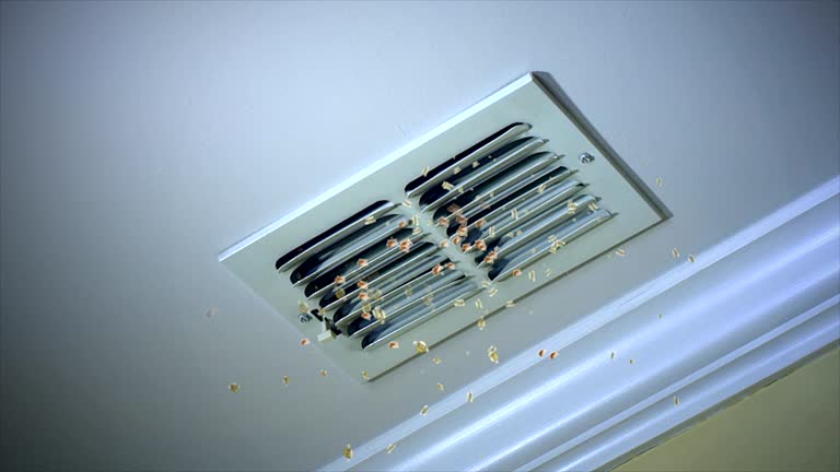 Best HVAC Duct Inspection Services  in Mount Olive, IL