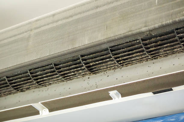 Best Air Duct Cleaning Company Near Me  in Mount Olive, IL